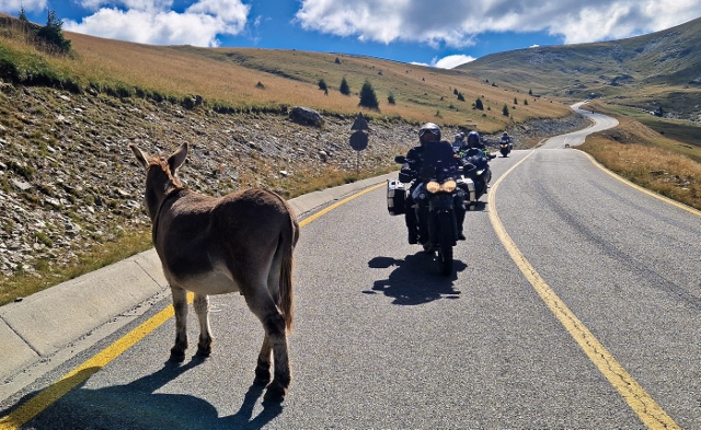 20230906 112722(0) (640x393)