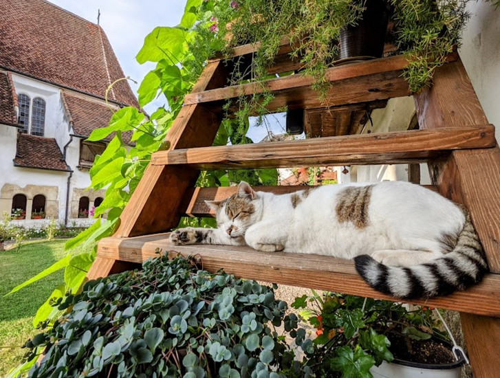 Honigberg Stille privat