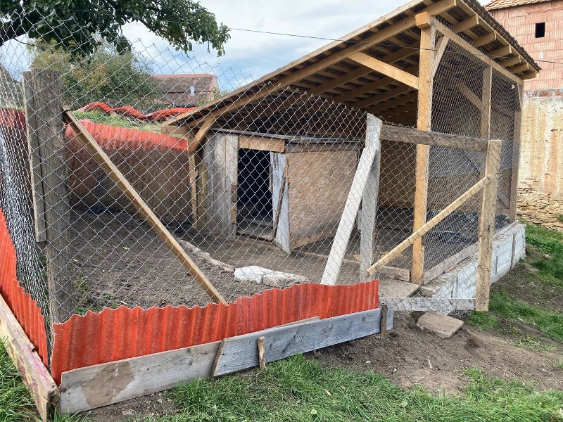 400319100806 ParteaGaini (800x600)