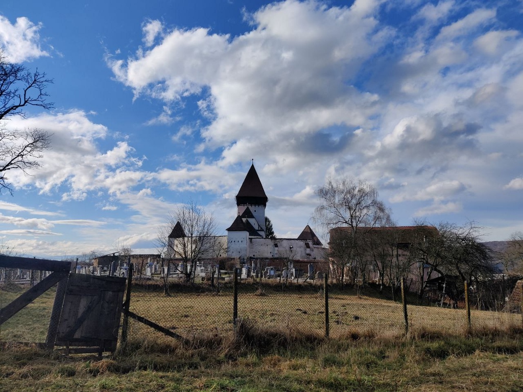 5886436963786012690 121 (1024x768)