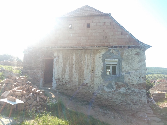 IMG 20190613 174855 (640x480)