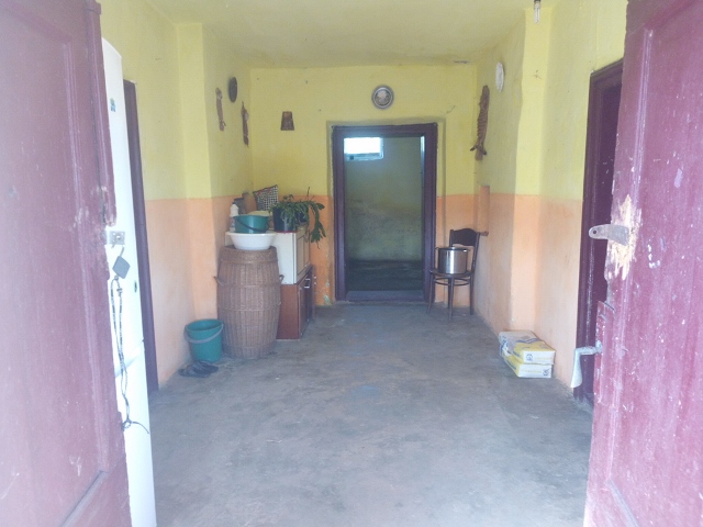 IMG 20190614 092338 (640x480)