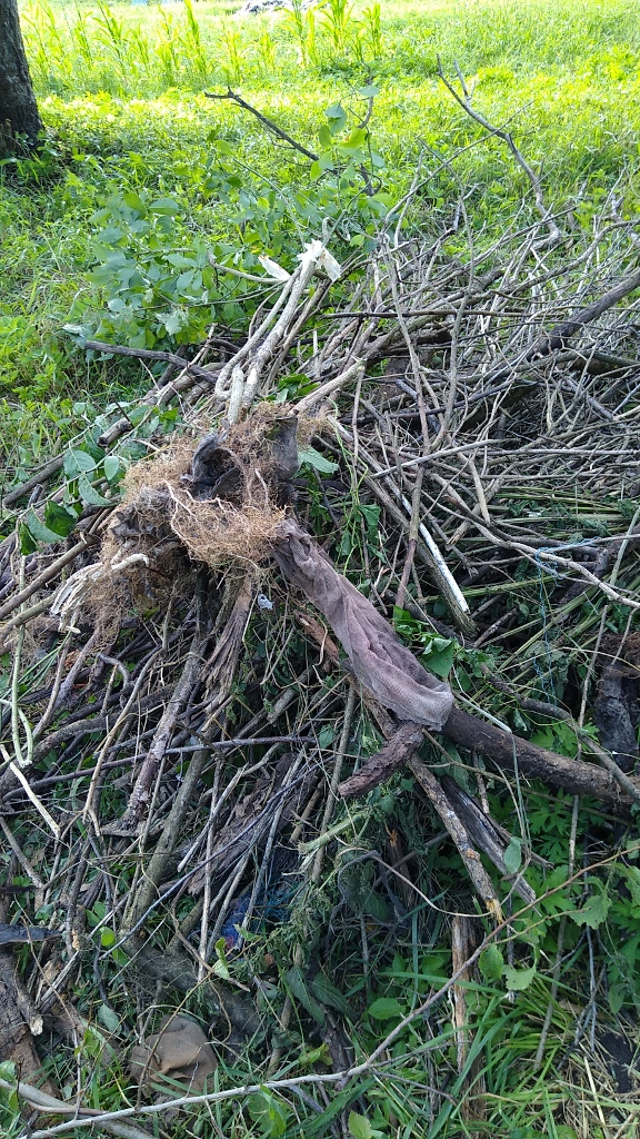 IMG 20210806 WurzelRodung (576x1024)